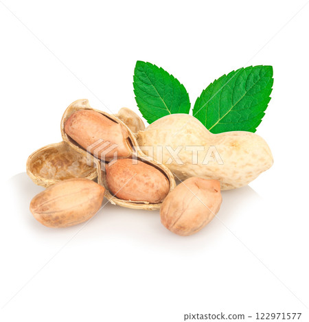Peanuts isolated on white background 122971577