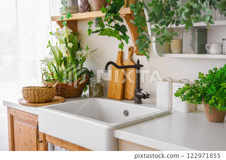 Cozy kitchen corner with fresh plants and a rustic sink for daily meal preparation, home interior 122971855
