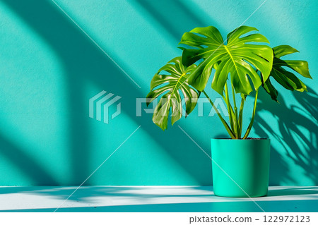 A green plant in a blue pot on a blue wall 122972123