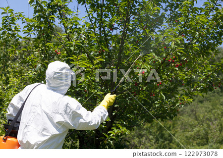 Farmer spraying pesticides or herbicides in an fruit orchard Farmer spraying pesticides or herbicides in an fruit orchard 122973078