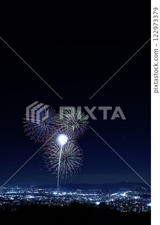 Nara Ruri-e 2025 fireworks as seen from the summit of Mount Wakakusa Nara Ruri-e 2025 fireworks as seen from the summit of Mount Wakakusa 122973379