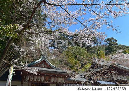 Kyoto Kumano Wakaoji Shrine 122973389
