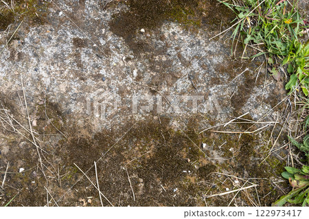Green moss and rain stains on cement wall. 122973417