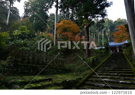 Joshoji temple in autumn 122973818