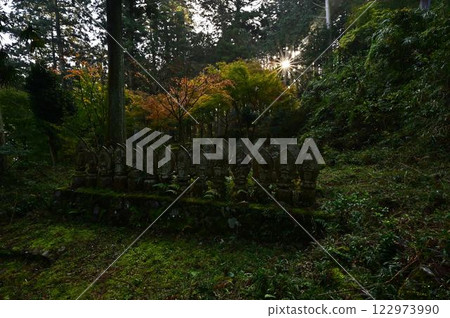 Joshoji temple in autumn 122973990