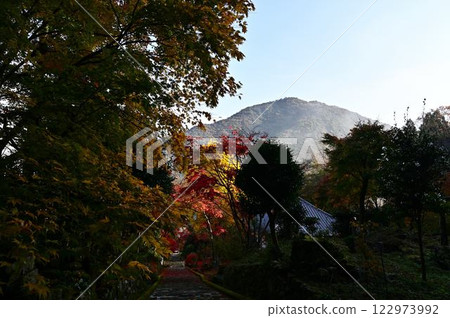 Joshoji temple in autumn 122973992