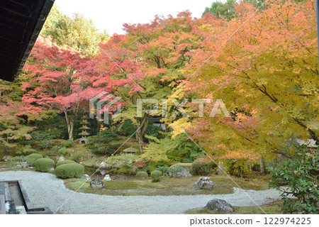 The colorful autumn gardens of the Imperial Temple Sennyuji (Higashiyama Ward, Kyoto City) The colorful autumn gardens of the Imperial Temple Sennyuji (Higashiyama Ward, Kyoto City) 122974225