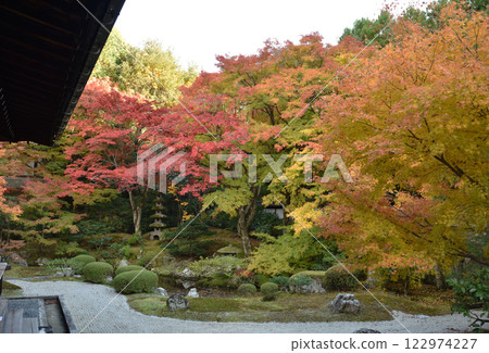 The colorful autumn gardens of the Imperial Temple Sennyuji (Higashiyama Ward, Kyoto City) The colorful autumn gardens of the Imperial Temple Sennyuji (Higashiyama Ward, Kyoto City) 122974227