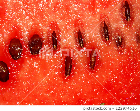 紅色西瓜背景 122974510