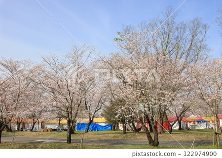 Spring Festival Venue Spring Festival Venue 122974900