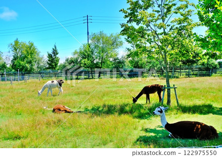 A view of Ecorin Village in Eniwa City, Hokkaido 122975550
