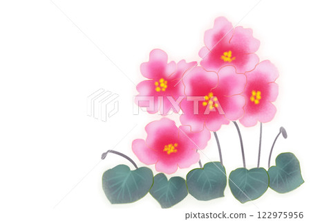 Saintpaulia flower card 1 Saintpaulia flower card 1 122975956