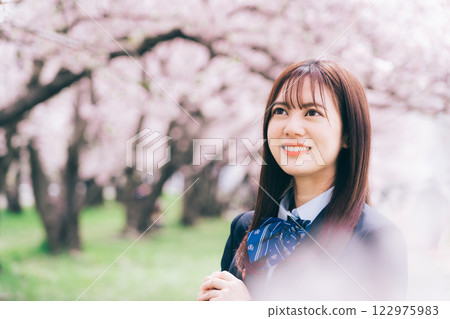 High school girl looking at cherry blossoms High school girl looking at cherry blossoms 122975983