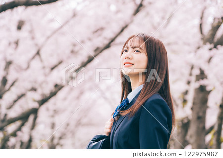 High school girl looking at cherry blossoms 122975987