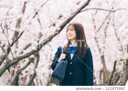 High school girl looking at cherry blossoms 122975992