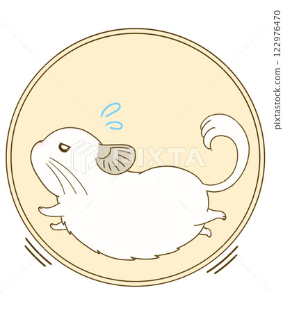 White chinchilla running around on a wheel White chinchilla running around on a wheel 122976470