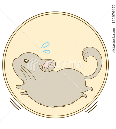 Chinchilla running around on a wheel (beige) 122976472