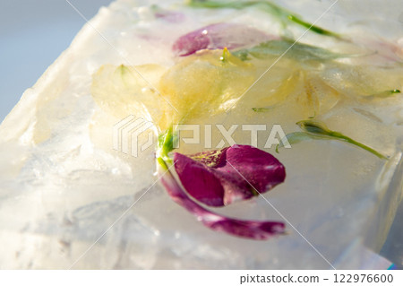 A clear block of ice displays beautiful floral elements, with delicate petals and leaves embedded within, showcasing vivid colors against a soft background A clear block of ice displays beautiful floral elements, with delicate petals and leaves embedded within, showcasing vivid colors against a soft background 122976600