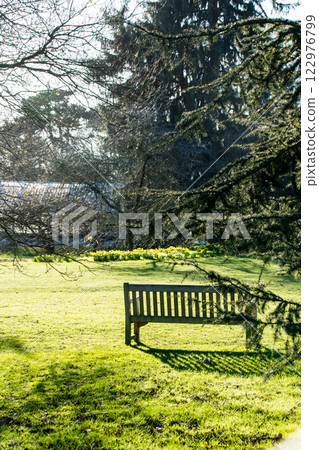 A wooden bench surrounded by early spring branches and shaded by bright sunlight at Kew Gardens on the outskirts of London 122976799