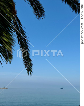 Lush green palm leaves at the top, against a clear blue sky and sea, space for text, at the background horizon line with the calm sea and shore in Bar, Montenegro 122976981