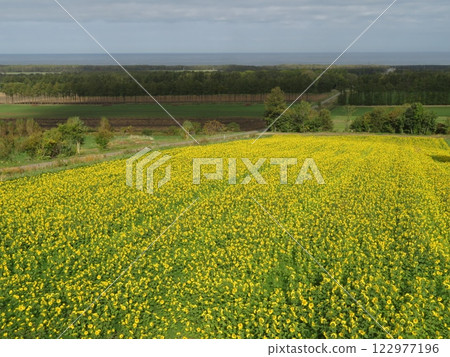 北海道斜裡町天堂之路 122977196