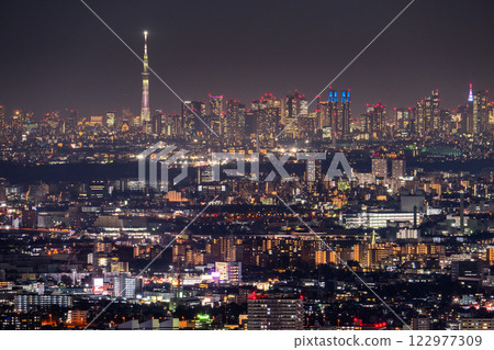 《東京》東京全景/城市夜景 122977309