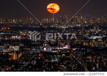 《Tokyo》Moonrise and panoramic Tokyo city night view 122977333