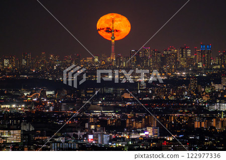 《Tokyo》Moonrise and panoramic Tokyo city night view 《Tokyo》Moonrise and panoramic Tokyo city night view 122977336