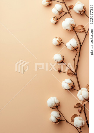 Cotton branches with fluffy white cotton bolls on a soft beige background, creating a minimalist and natural composition. Cotton branches with fluffy white cotton bolls on a soft beige background, creating a minimalist and natural composition. 122977535