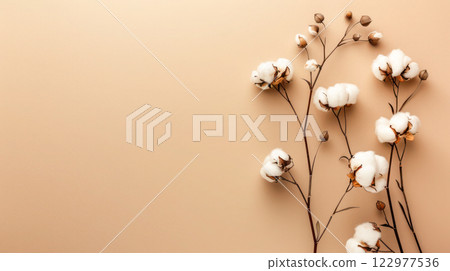 Cotton branches with fluffy white cotton bolls on a soft beige background, creating a minimalist and natural composition. 122977536