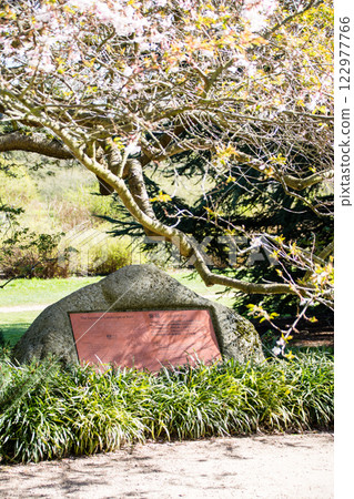 A stone monument in the Japanese garden at Kew Gardens in the London suburbs bathed in the bright early spring sunshine 122977766