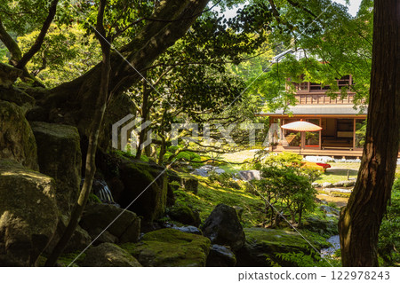 Fresh green former bamboo forest inn 122978243