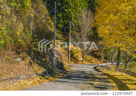 Autumn foliage along the road at Shin-Toyone Dam in Toyone Village (Aichi Prefecture) 122978987