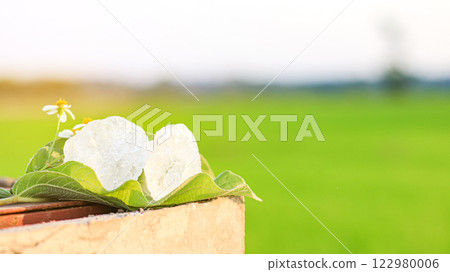 Pieces of alum stone on green leaf against blurred background. The connection between natural minerals and plant based ingredients in traditional practices and holistic wellness. 122980006