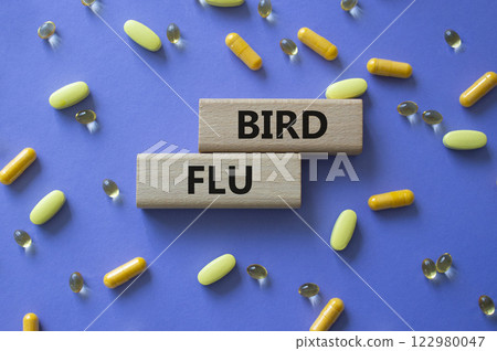 Bird Flu symbol. Concept word Bird Flu on wooden blocks. Beautiful purple background with pills. Medicine and Bird Flu concept. Copy space Bird Flu symbol. Concept word Bird Flu on wooden blocks. Beautiful purple background with pills. Medicine and Bird Flu concept. Copy space 122980047