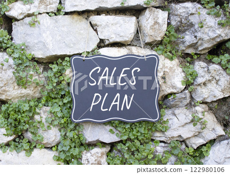Sales Plan symbol. Stone wall with words Sales Plan. Beautiful stone background with plants. Business and Sales Plan concept. Copy space. 122980106