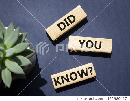 Did you know symbol. Wooden blocks with words Did you know. Beautiful deep blue background with succulent plant. Business and Did you know concept. Copy space. Did you know symbol. Wooden blocks with words Did you know. Beautiful deep blue background with succulent plant. Business and Did you know concept. Copy space. 122980417