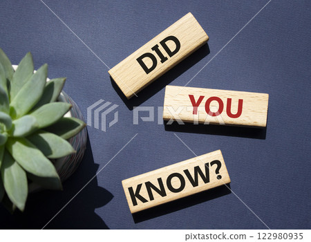 Did you know symbol. Wooden blocks with words Did you know. Beautiful deep blue background with succulent plant. Business and Did you know concept. Copy space. Did you know symbol. Wooden blocks with words Did you know. Beautiful deep blue background with succulent plant. Business and Did you know concept. Copy space. 122980935