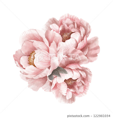Pink Peonies. Peony Flowers bouquet watercolor illustration on a white background Pink Peonies. Peony Flowers bouquet watercolor illustration on a white background 122981034