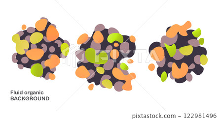 Fluid organic background. Frame isolated. Set of abstract liquid shapes, colorful elements, gradient waves with geometric lines, dynamical forms. Vector design for banner, flyer, business card Fluid organic background. Frame isolated. Set of abstract liquid shapes, colorful elements, gradient waves with geometric lines, dynamical forms. Vector design for banner, flyer, business card 122981496
