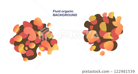 Fluid organic background. Frame isolated. Set of abstract liquid shapes, colorful elements, gradient waves with geometric lines, dynamical forms. Vector design for banner, flyer, business card 122981539