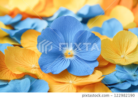 Close-up of vibrant blue and yellow flower petals, creating a colorful and lively floral composition. 122982190