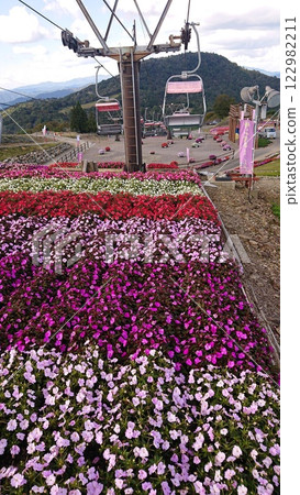 Sun Patience of Chausuyama 122982211