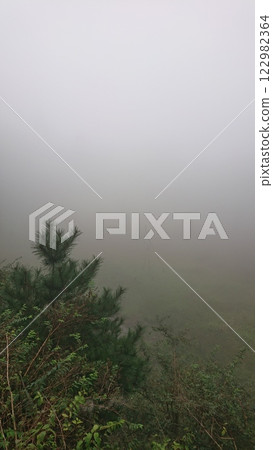 Fog Fog 122982364