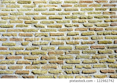 BrickWall Texture / Background 122982742