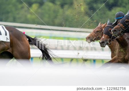 Kyoto Racecourse: Straight after the fourth corner Kyoto Racecourse: Straight after the fourth corner 122982756