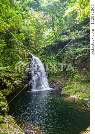 赤目四十八瀑的新綠[不動瀑布] 122982808