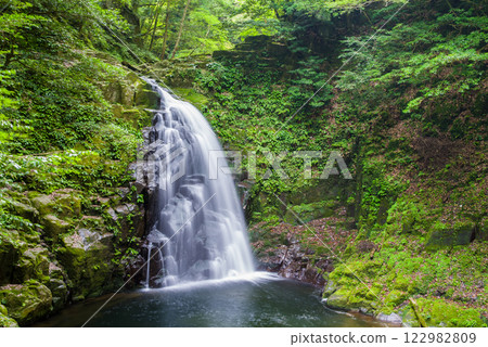 赤目四十八瀑的新綠[不動瀑布] 122982809