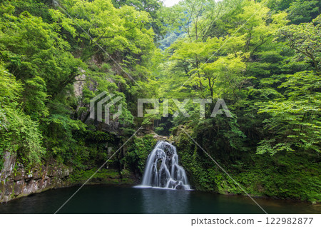 Fresh green "Akame 48 Waterfalls" [Senju Waterfalls] 122982877