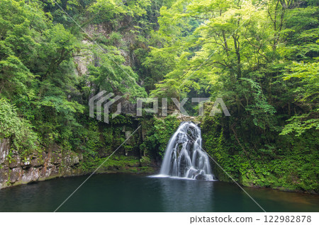 Fresh green "Akame 48 Waterfalls" [Senju Waterfalls] 122982878